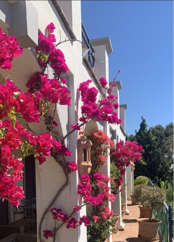 Boutique Hotel Maravilla - Marbella Benahavís Exterior foto
